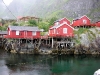 'Isole Lofoten'